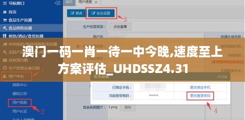 澳门一码一肖一待一中今晚,速度至上方案评估_UHDSSZ4.31