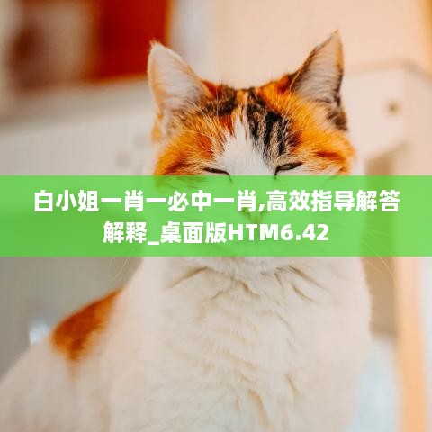 白小姐一肖一必中一肖,高效指导解答解释_桌面版HTM6.42