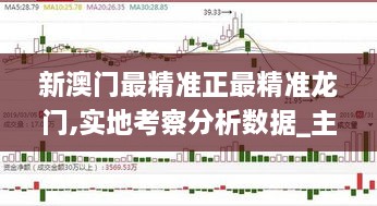 新澳门最精准正最精准龙门,实地考察分析数据_主力版ANT3.16