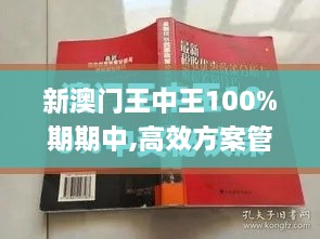 新澳门王中王100%期期中,高效方案管理解答解释_极致版ZVF6.47