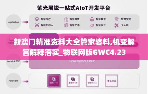 新澳门精准资料大全管家婆料,机变解答解释落实_物联网版GWC4.23