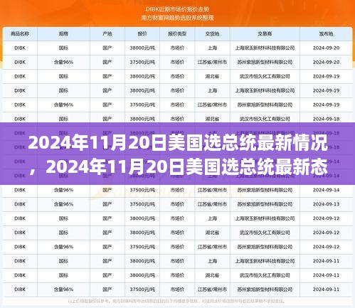 2024年11月20日美国选总统最新态势概览，最新情况分析