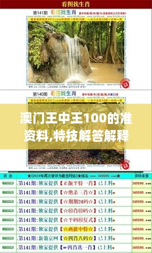 澳门王中王100的准资料,特技解答解释落实_UHDUAD3.69