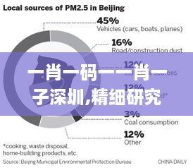 一肖一码一一肖一子深圳,精细研究解答解释方案_标准版MHO8.66