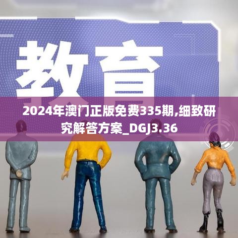 2024年澳门正版免费335期,细致研究解答方案_DGJ3.36