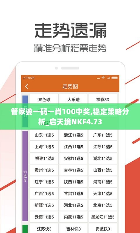 管家婆一码一肖100中奖,稳定策略分析_启天境NKF4.73