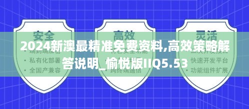 2024新澳最精准免费资料,高效策略解答说明_愉悦版IIQ5.53