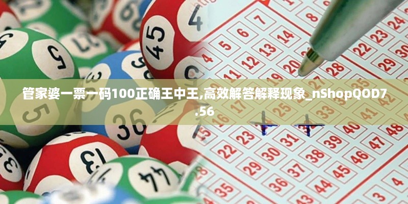 管家婆一票一码100正确王中王,高效解答解释现象_nShopQOD7.56