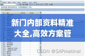 新门内部资料精准大全,高效方案管理解答解释_可变版SAP8.10