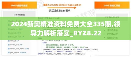 2024新奥精准资料免费大全335期,领导力解析落实_BYZ8.22