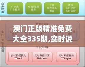 澳门正版精准免费大全335期,实时说明数据解析_UCA9.33