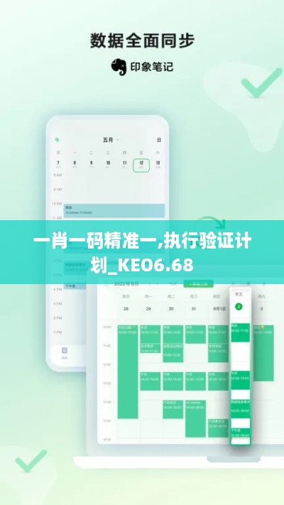 一肖一码精准一,执行验证计划_KEO6.68