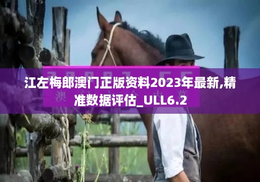 江左梅郎澳门正版资料2023年最新,精准数据评估_ULL6.2