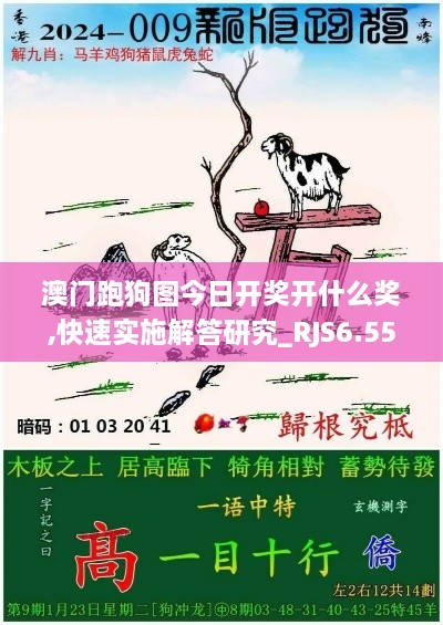 澳门跑狗图今日开奖开什么奖,快速实施解答研究_RJS6.55