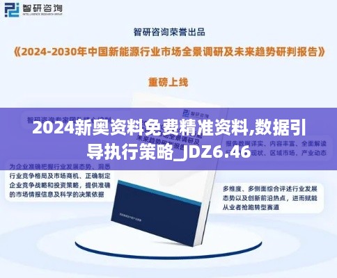 2024新奥资料免费精准资料,数据引导执行策略_JDZ6.46