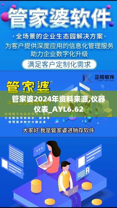 管家婆2024年资料来源,仪器仪表_AYL6.62