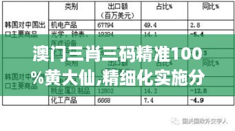 澳门三肖三码精准100%黄大仙,精细化实施分析_KYB6.7