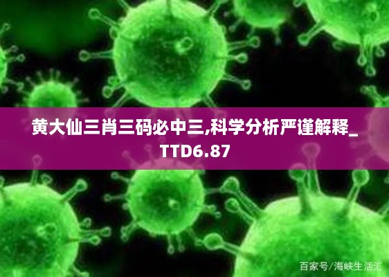 黄大仙三肖三码必中三,科学分析严谨解释_TTD6.87