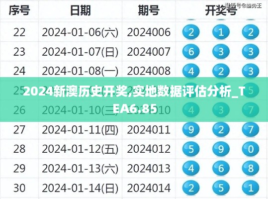 2024新澳历史开奖,实地数据评估分析_TEA6.85