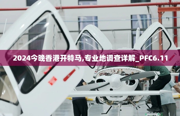 2024今晚香港开特马,专业地调查详解_PFC6.11