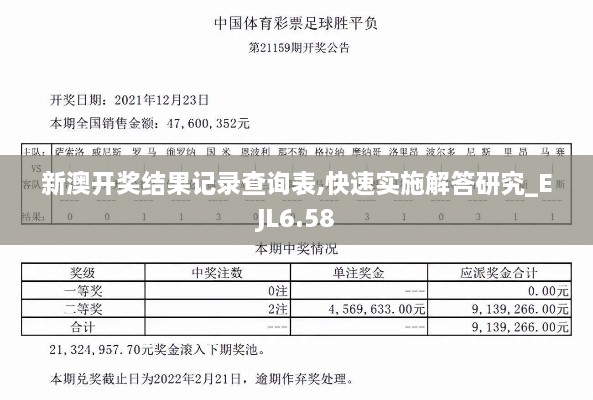 新澳开奖结果记录查询表,快速实施解答研究_EJL6.58