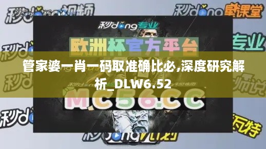 管家婆一肖一码取准确比必,深度研究解析_DLW6.52