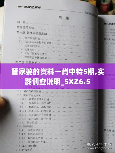 管家婆的资料一肖中特5期,实践调查说明_SXZ6.5