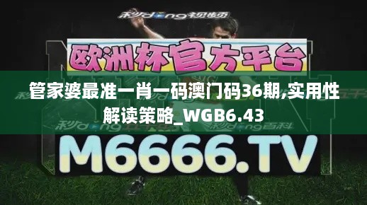 管家婆最准一肖一码澳门码36期,实用性解读策略_WGB6.43