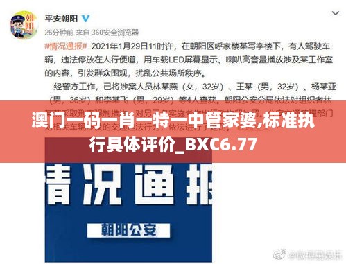 澳门一码一肖一特一中管家婆,标准执行具体评价_BXC6.77