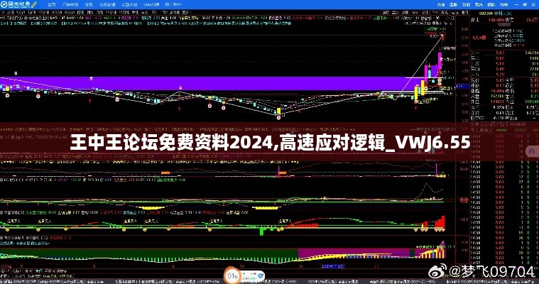 王中王论坛免费资料2024,高速应对逻辑_VWJ6.55