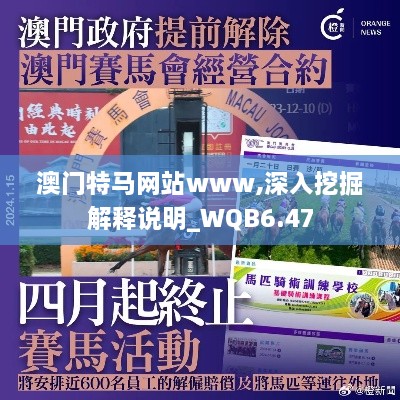 澳门特马网站www,深入挖掘解释说明_WQB6.47