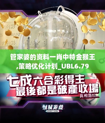 管家婆的资料一肖中特金猴王,策略优化计划_UBL6.79