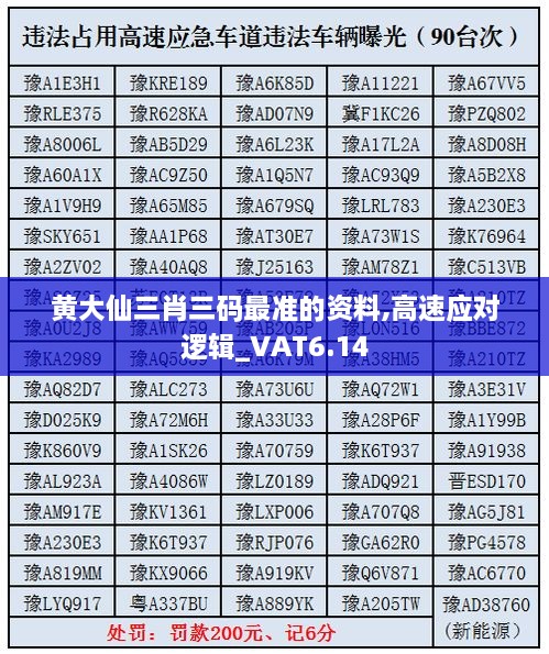 黄大仙三肖三码最准的资料,高速应对逻辑_VAT6.14