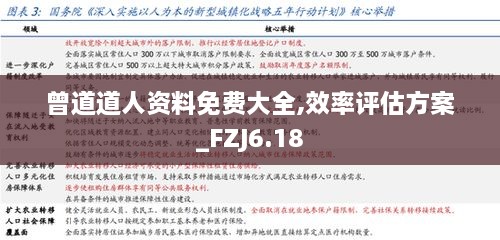 曾道道人资料免费大全,效率评估方案_FZJ6.18