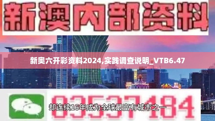 新奥六开彩资料2024,实践调查说明_VTB6.47