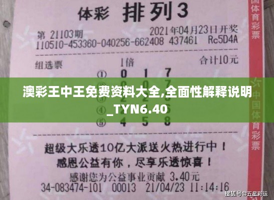 澳彩王中王免费资料大全,全面性解释说明_TYN6.40