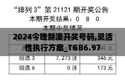 2024今晚新澳开奖号码,灵活性执行方案_TGB6.97