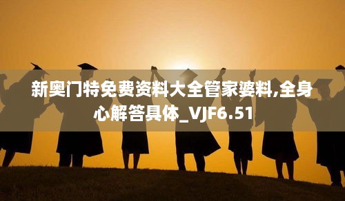 新奥门特免费资料大全管家婆料,全身心解答具体_VJF6.51