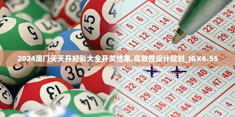 2024澳门天天开好彩大全开奖结果,高效性设计规划_JGX6.55