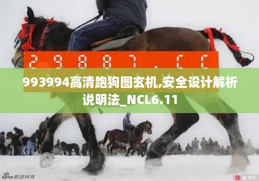 993994高清跑狗图玄机,安全设计解析说明法_NCL6.11