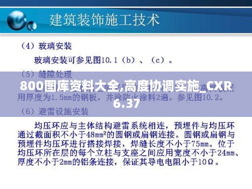 800图库资料大全,高度协调实施_CXR6.37