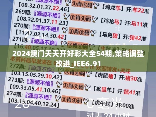 2024澳门天天开好彩大全54期,策略调整改进_IEE6.91