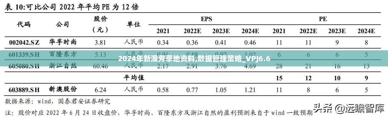 2024年新澳芳草地资料,数据管理策略_VPJ6.6