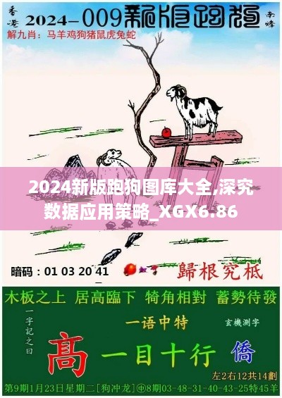 2024新版跑狗图库大全,深究数据应用策略_XGX6.86