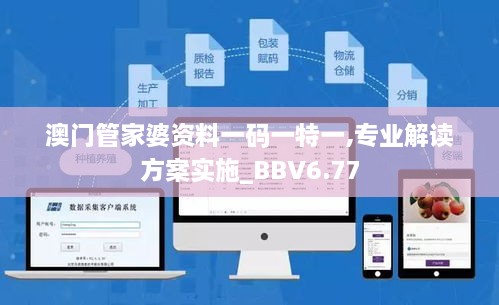 澳门管家婆资料一码一特一,专业解读方案实施_BBV6.77