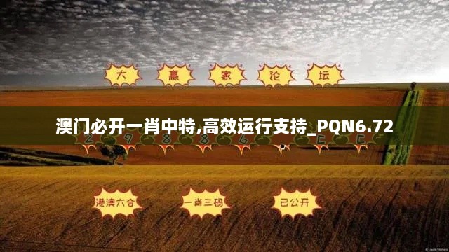 澳门必开一肖中特,高效运行支持_PQN6.72