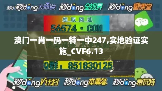 澳门一肖一码一特一中247,实地验证实施_CVF6.13