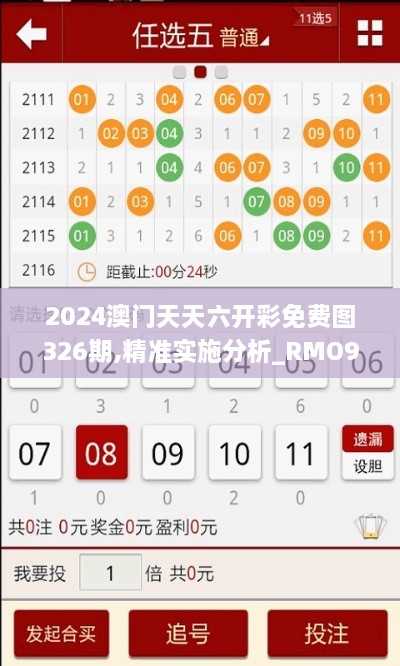 2024澳门天天六开彩免费图326期,精准实施分析_RMO9.44