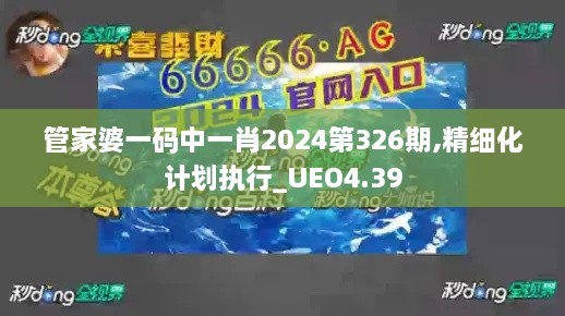 管家婆一码中一肖2024第326期,精细化计划执行_UEO4.39