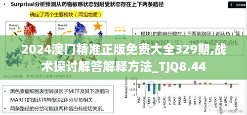 2024澳门精准正版免费大全329期,战术探讨解答解释方法_TJQ8.44